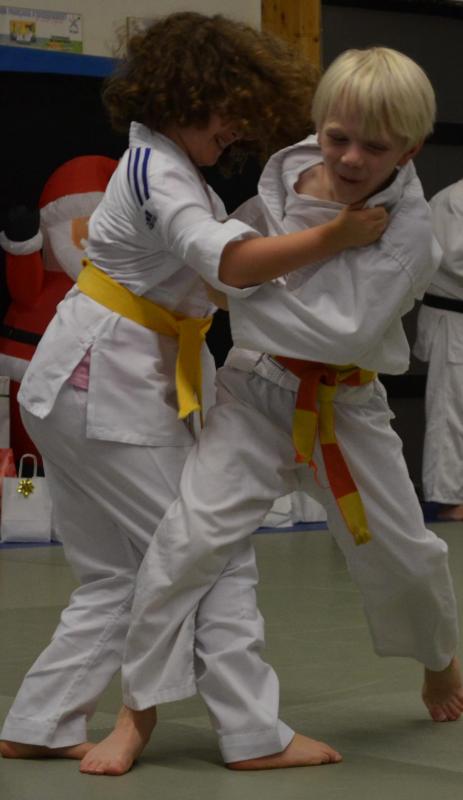 2014 513 copie